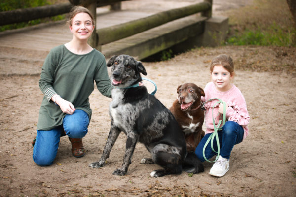 Animal medical - group/families